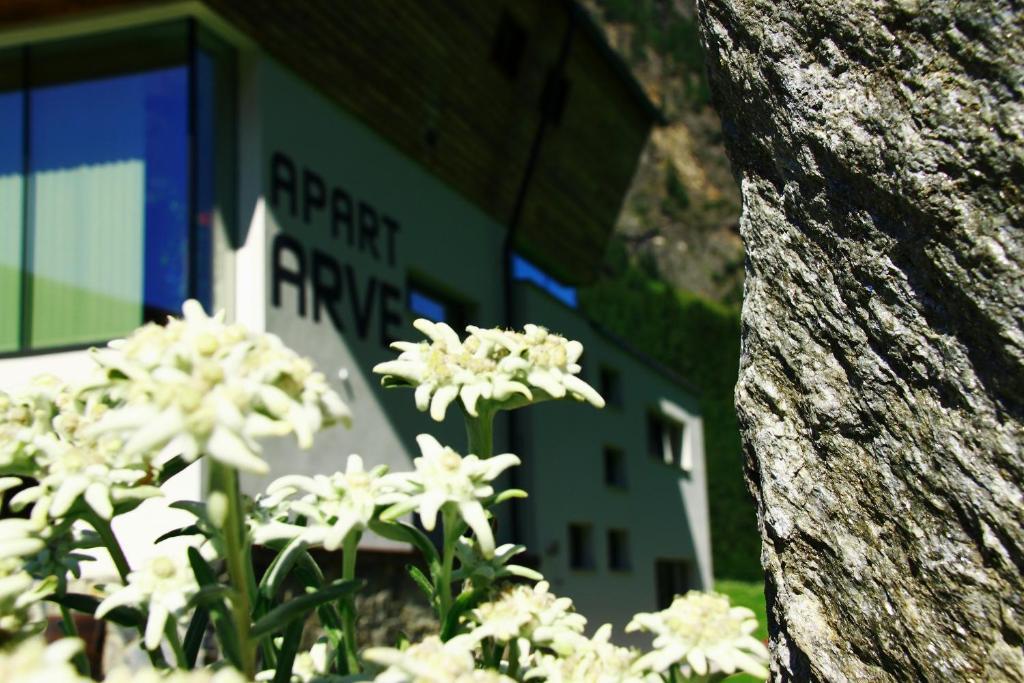Apart Arve Sankt Leonhard im Pitztal Exterior photo